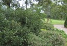 Rochedaleresidential-landscaping-35.jpg; ?>