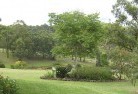 Rochedaleresidential-landscaping-40.jpg; ?>